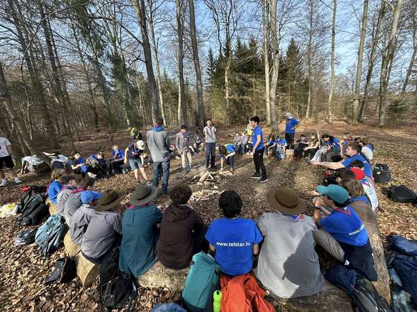 scouts_out